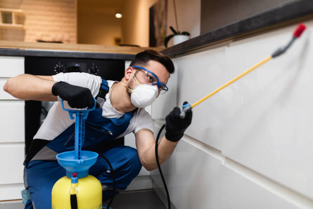 Best Insect Control  in Rheems, PA