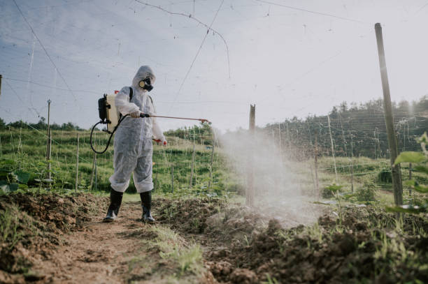 Best Affordable Pest Control Services  in Rheems, PA