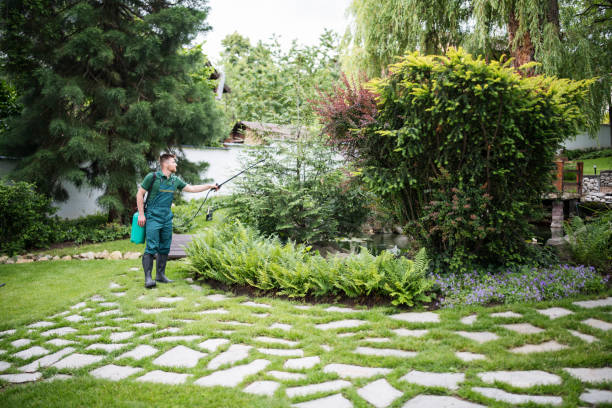 Best Pest Inspection Near Me  in Rheems, PA