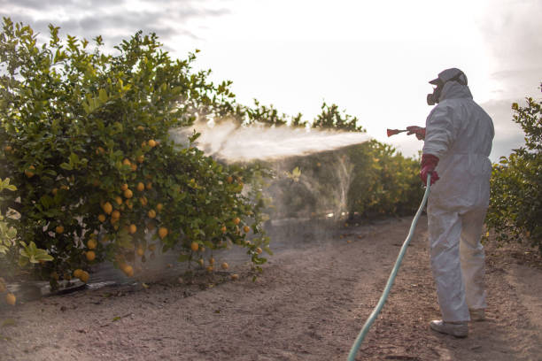 Reliable Rheems, PA Pest Control Solutions
