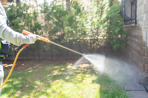 Best Termite Control Services  in Rheems, PA