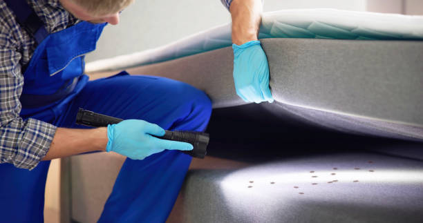 Best Pest Control Near Me  in Rheems, PA