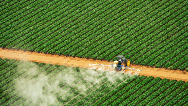 Best Ant Control Services  in Rheems, PA