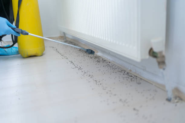 Best Commercial Pest Control Services  in Rheems, PA