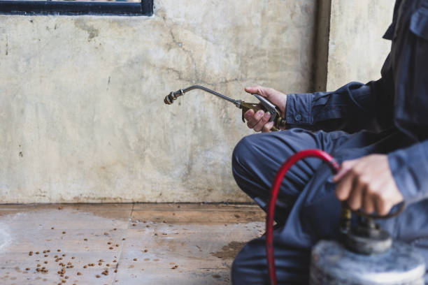 Best Affordable Pest Control Services  in Rheems, PA